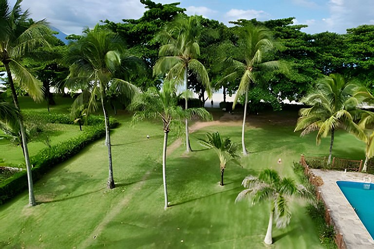 Saíra: Casa Brás Cubas