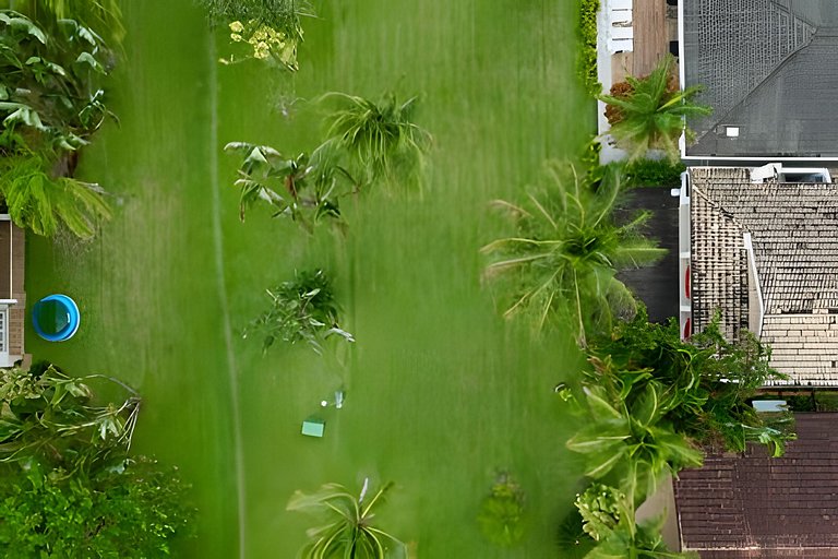 Saíra: Casa Vermelha