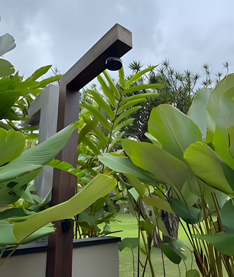 Saíra: Casa Cardoso